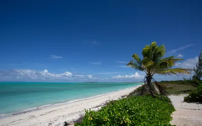 Mayaguana North Beach