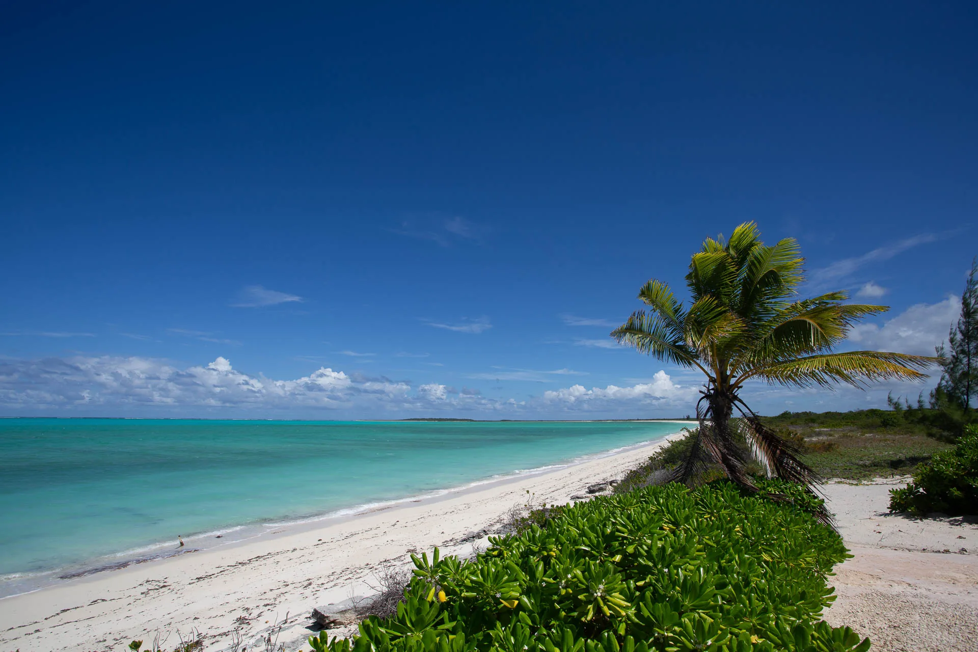 Beach at sunset on Mayaguana, The Bahamas